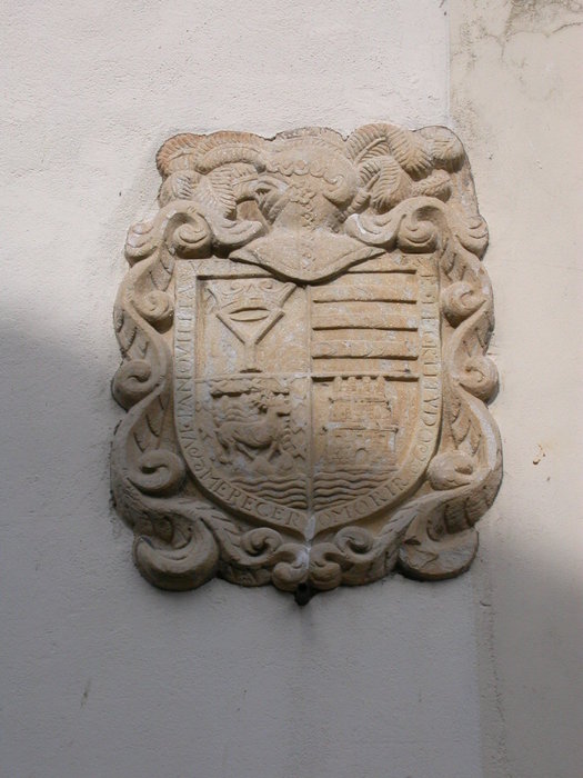 Escudo en Viveiro