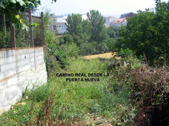 zapardiel 8.jpg