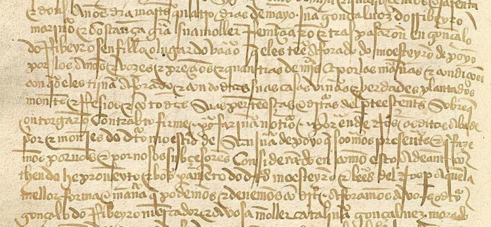 constanza garcía.jpg